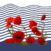 Mohn und See-Küste