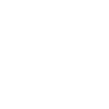 Spider Silhouette Funny Insect Gift