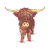 Vache écossaise Vache Bébé Veau