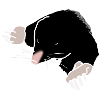 mole
