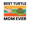 Best Turtle Mom Ever