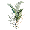 Tropical Leaves Illustration