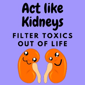 Agera som njurar - Njurfunktion