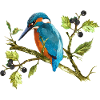 Bunter Vogel