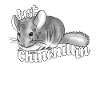 Chinchilla cute animal