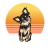 Chihuahua Sun