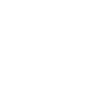 Goose Geese Waterfowl Goose Lover