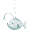ocean anglerfish