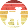 Zwergschnauzer Hunde Miniatur Hund