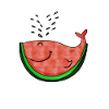 Pastèque Baleine