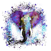 elefant,bunt,malerei,bunt,aquarell,graffiti