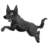 Sport Dog - Kelpie - Black