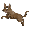 Sport Dog - Kelpie - Chocolate