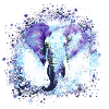 Elephant, Graffiti, Painting, Blue,Wild
