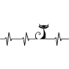 Cat ECG Heartbeat Heartbeat Cat