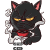 Confused funny cat