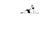 German Shepherd Heartbeat