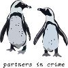 cute Penguins / Partners in crime