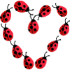 Ladybug Lucky Beetle Heart