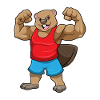 Beaver Bodybuilder Bodybuilding Sport