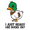 I Just Really Like Ducks