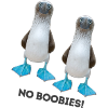 No Boobies
