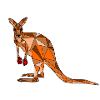 Kangaroo blanko