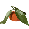 clementine