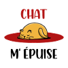 chat m'épuise
