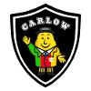 Carlow Ireland GAA