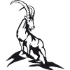 Steinbock in schwarz