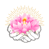 Lotus blossom