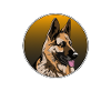 Chien chien propriétaire