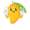 Happy Mango Summer Fruit Lovers