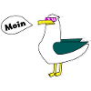 Seagull Moin