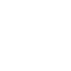 Busfahrer Evolution