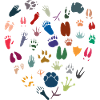 Animal heart