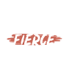 Feminist Feminism