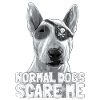 Bullterrier Pirat