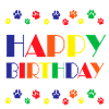 happy birthday dog present paw
