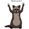 Waschbär