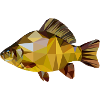 karashs poly friedfischangeln carpes