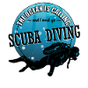 Diver Scuba Diving