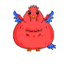 Fat Parrot Body Fat