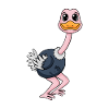 ostrich