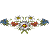 The most beautiful alpine flowers