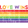 Love Wins LGBT Gay Transsexual