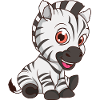Baby zebra