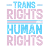 Trans rights are human rights Motive
