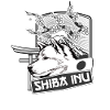 Shiba Inu Cherry Blossoms